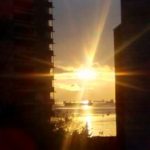 Daily Reminders & Inspirations from Survivors and Nature